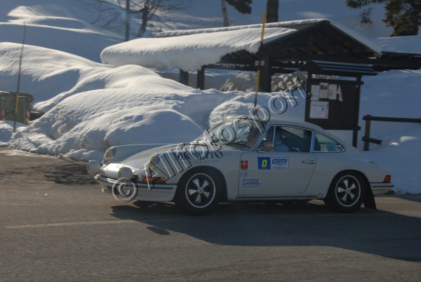 ANT_6505.jpg